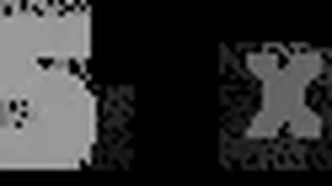 阿马杜左膝韧带受伤，预计停赛三月